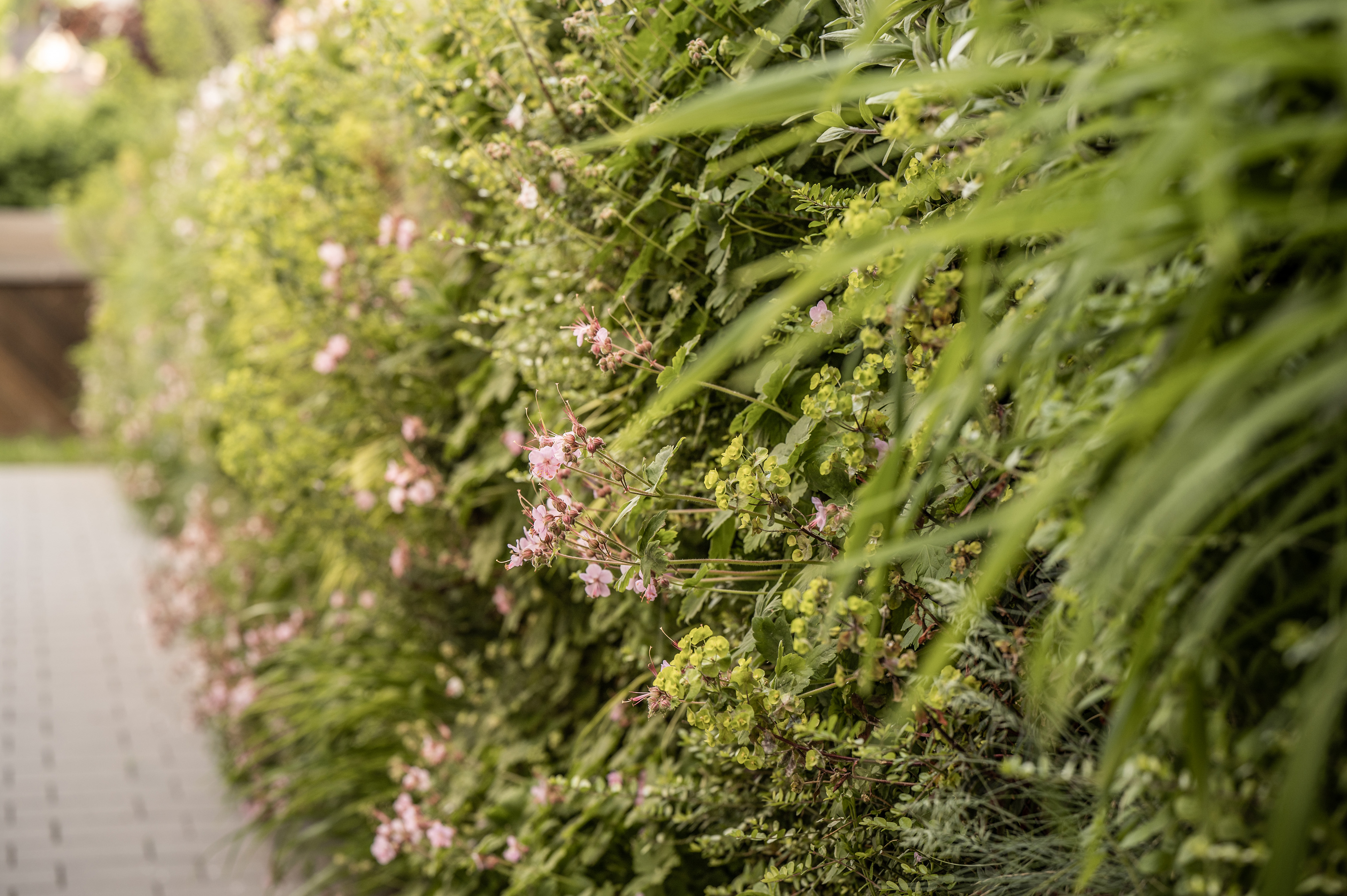 Gartenpflege